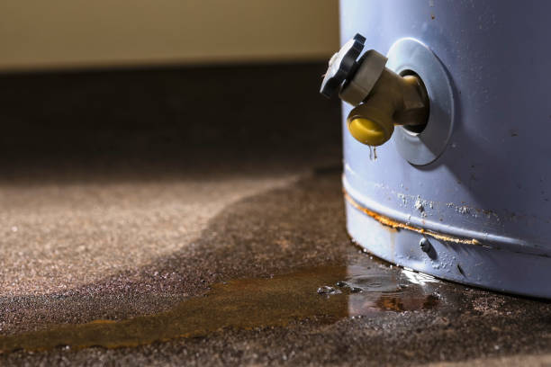 Best Carpet water damage restoration  in Beverly, NJ