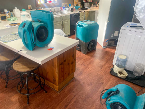 Best Water damage restoration specialists  in Beverly, NJ