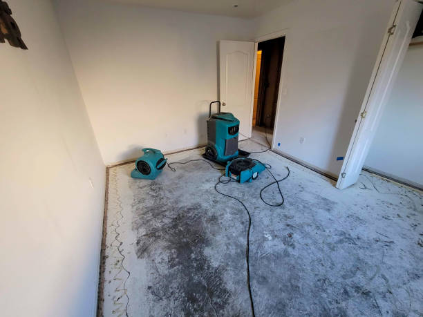 Best Professional water damage repair  in Beverly, NJ