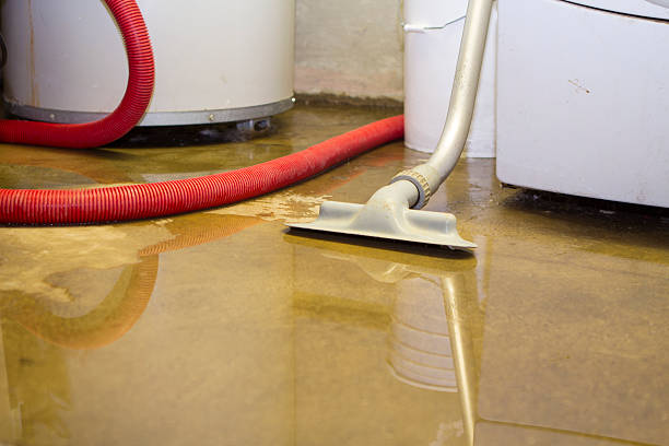 Best Fire Damage Restoration  in Beverly, NJ