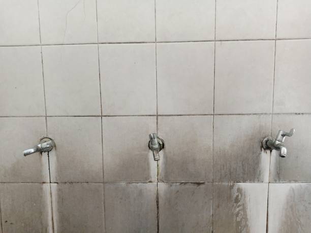 Best Sewage cleanup and water damage restoration  in Beverly, NJ