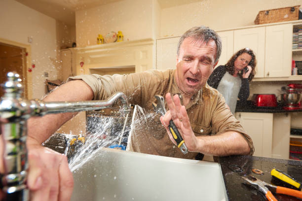 Best Flooded house restoration  in Beverly, NJ